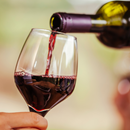 Vinho Tinto Seco Português Martha's Douro DOC 750ml