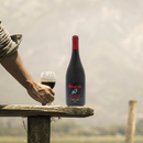 Vinho Tinto Seco Chileno Pinot Noir Nancul Reserve 750ml