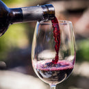 Vinho Tinto Seco Chileno Nancul Reserve Collection Malbec 2020 750ml