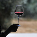 Vinho Tinto Seco Chileno Nancul Reserve Collection Malbec 2020 750ml