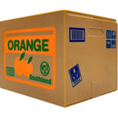 Cofre Eletrônico Gato Pega Moedas Opapro MTC-102 - Diversão e Economia