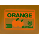 Cofre Eletrônico Gato Pega Moedas Opapro MTC-102 - Diversão e Economia